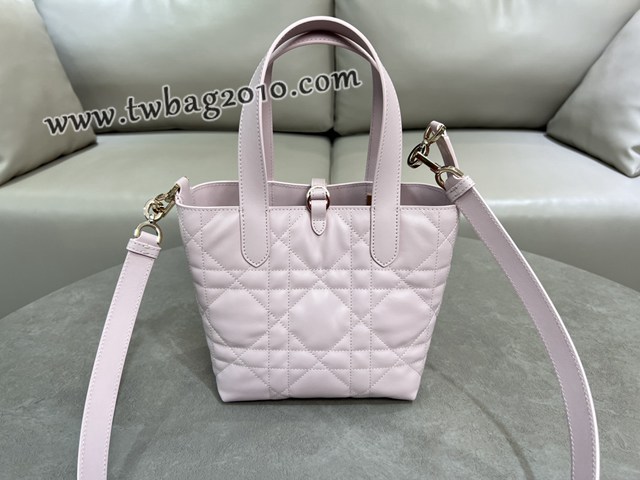 Dior专柜2025新款迪奥高仿原单Toujours竖版手袋牛皮休闲手提女包 djfk1301